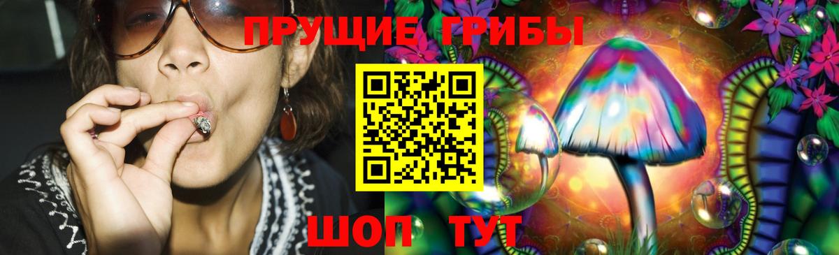 Псилоцибиновые грибы мицелий Кисловодск